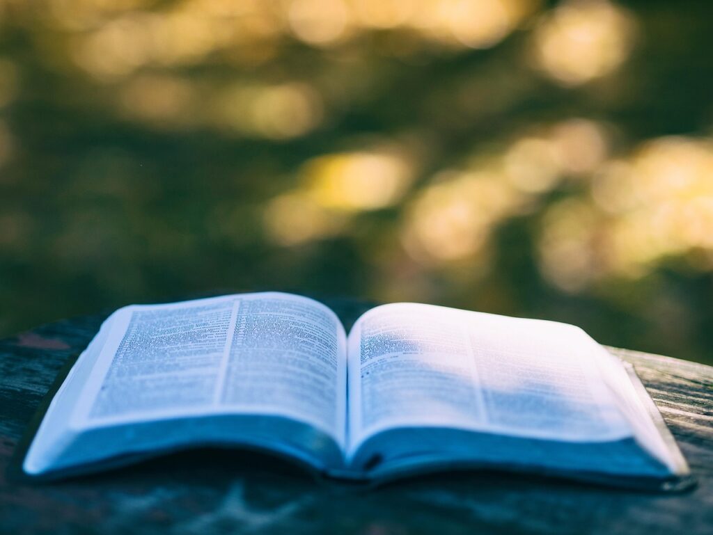 pexels-book-1868068_1280